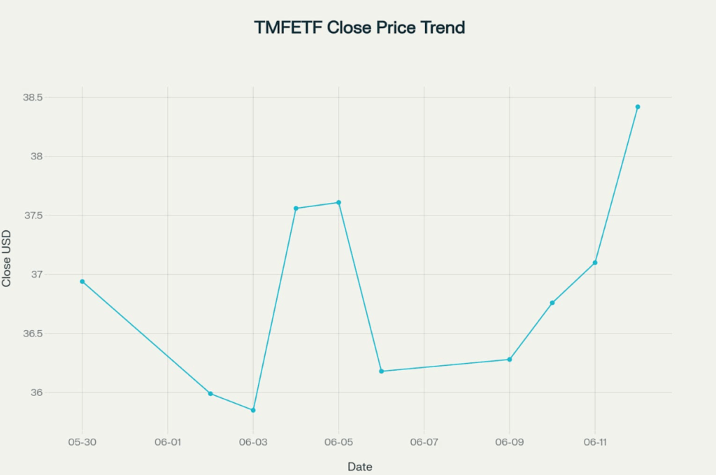 TMFETF 주가 수수료 배당 및 전망(25년6월 기준) 2 TMFETF 주가 수수료