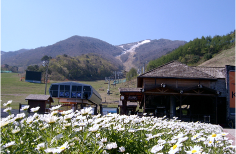 덕유산 케이블카 곤도라 예약 할인방법 주차장 가이드(25년 최신) 3 덕유산 케이블카 곤도라 예약 할인방법