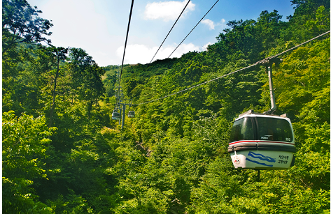 덕유산 케이블카 곤도라 예약 할인방법 주차장 가이드(25년 최신) 2 덕유산 케이블카 곤도라 예약 할인방법